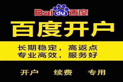 某公司信息流广告投放成功案例分析